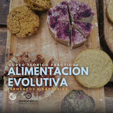 ALIMENTACIÓN EVOLUTIVA - fermentación & bacterias