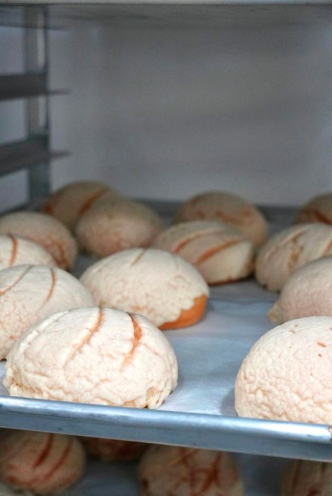 Conchas