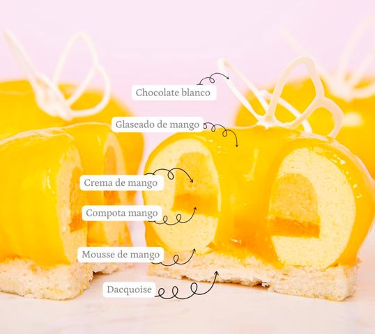 Masterclass Entremets