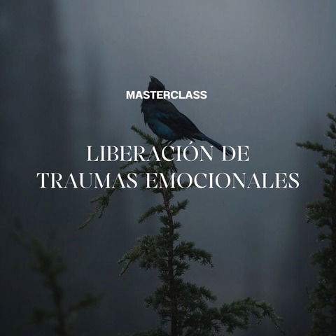 Masterclass: Liberación de Traumas Emocionales