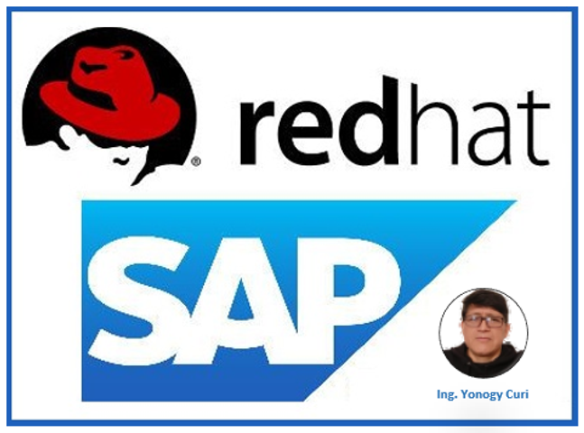 Operating Systems & SAP