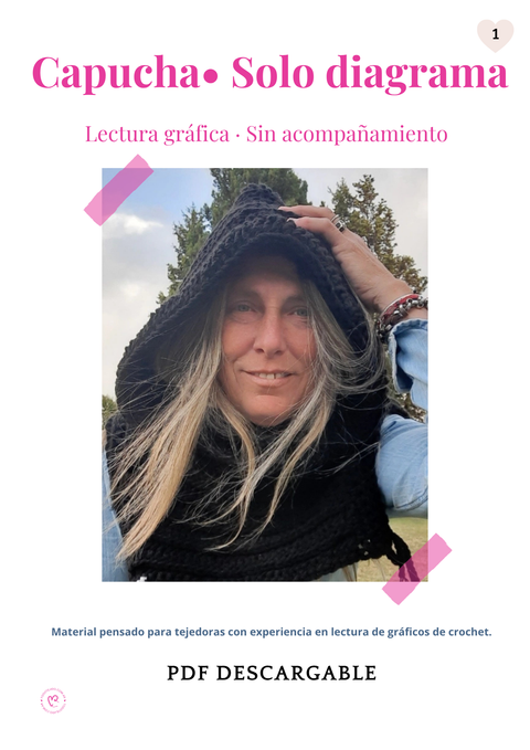 Programa Capucha Solo diagrama · Lectura gráfica