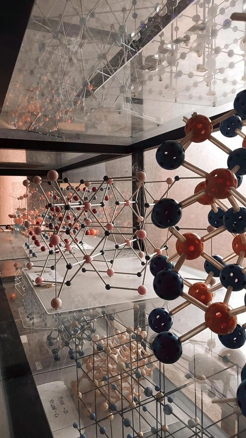 Bioquimica (Módulo 2)