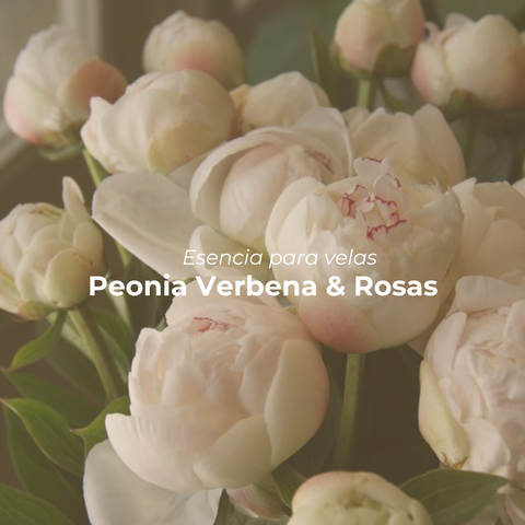 Peonia, verbena & rosas -  