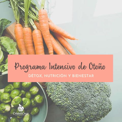 Programa Intensivo de Otoño 19 Días 