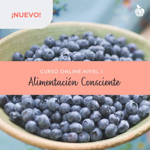 Curso de Alimentación Consciente ONLINE- Nivel 1