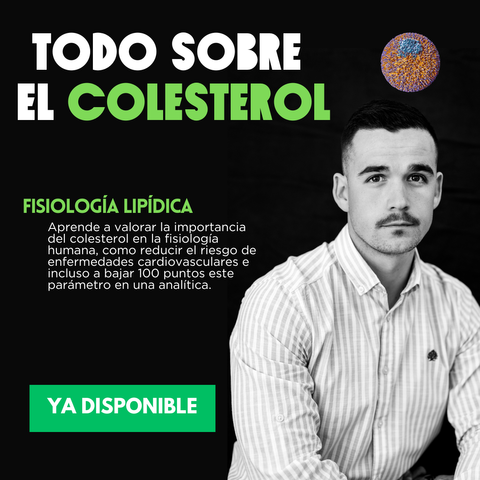 Todo sobre el colesterol: guía práctica