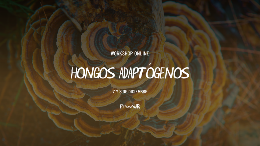 Workshop: Hongos Adaptógenos