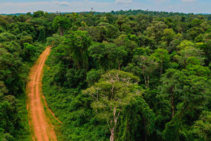 Retiro Foz do Iguaçu Formación (pago total)