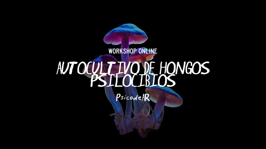 Workshop: Autocultivo de Hongos Psilocibios