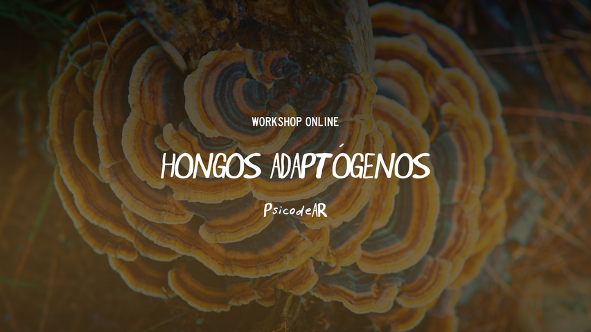 Workshop: Hongos Adaptógenos