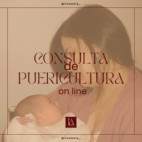Consulta on line Lactancia y crianza 