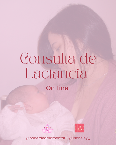 Consulta on line Lactancia y crianza 