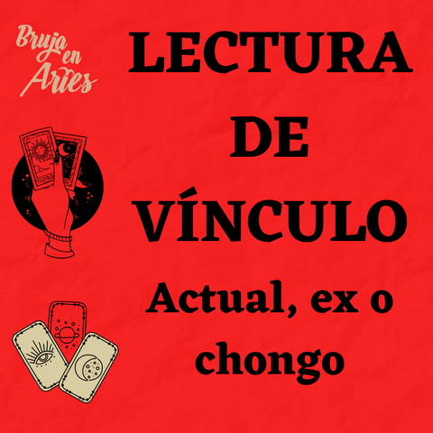 Lectura de Vínculo