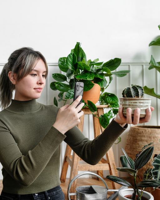 Creá tu primer vivo en Instagram