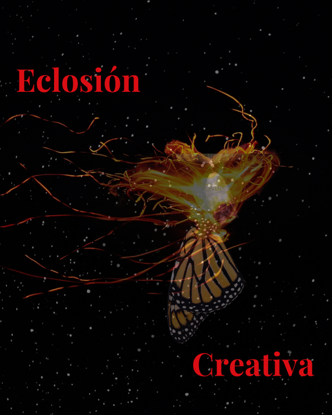 ️‍Programa Individual : Eclosión Creativa 