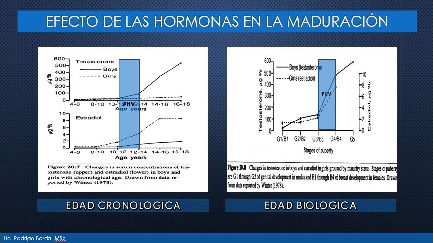 HORMONAS MADURACIÓN