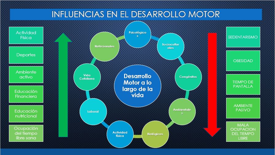 INFLENCIAS EN EL DESARROLLO MOTOR