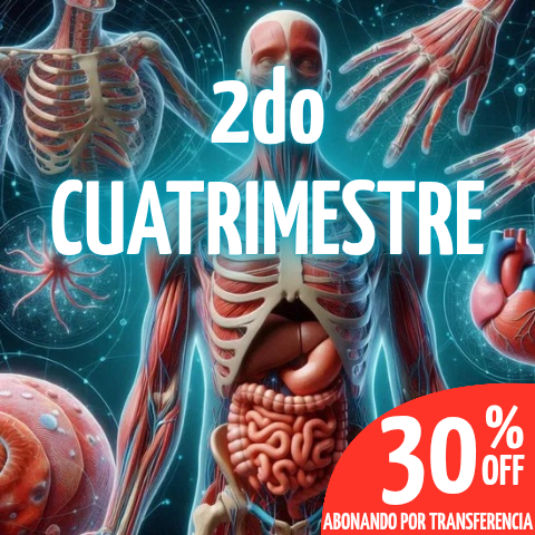 ANATOMÍA 2DO CUATRIMESTRE 