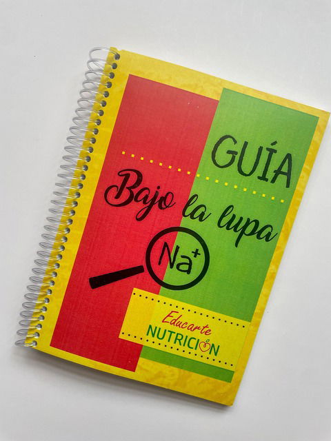 MANUAL BAJO LA LUPA 