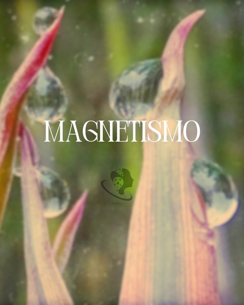 Magnetizá tu vida