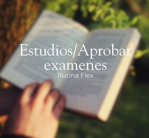 Rutina Flex para Estudiantes 