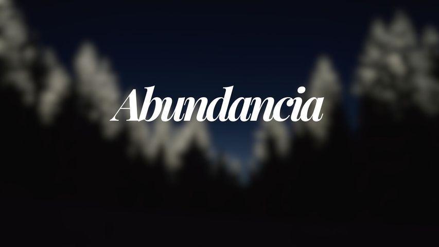 Rutina Flex | Abundancia