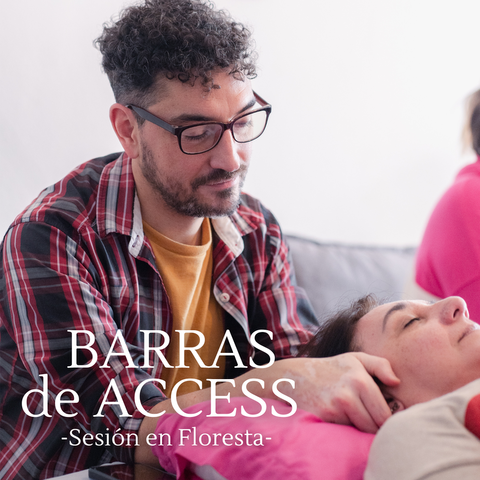 Sesión Barras de Access Consultorio FLORESTA