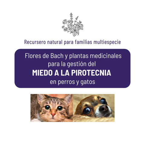 RECURSERO NATURAL MIEDO PIROTECNIA