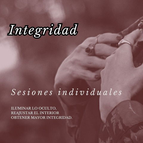 Integridad -Sesión Nº 2