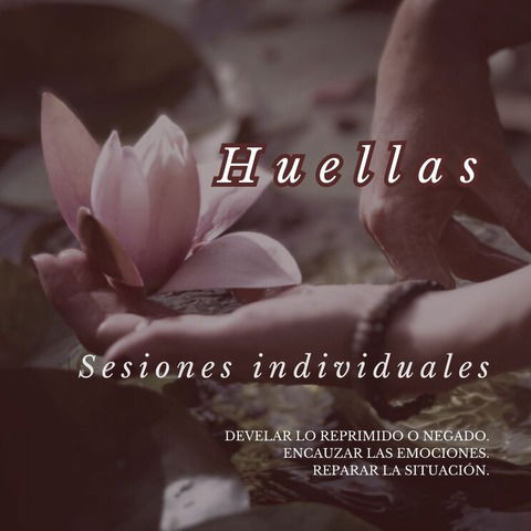 Huellas -Sesión Nº 2