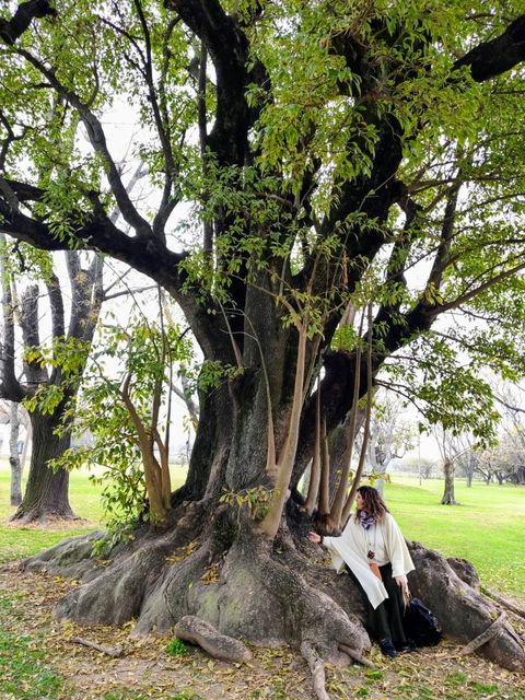 Ser en Mi Propio Arbol - Curso de Genealogía Básico. 