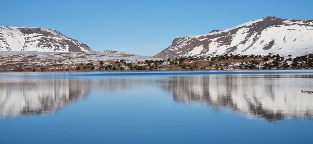Red de Meditación: Siembra de Semillas de Conciencia, amor y belleza. 
