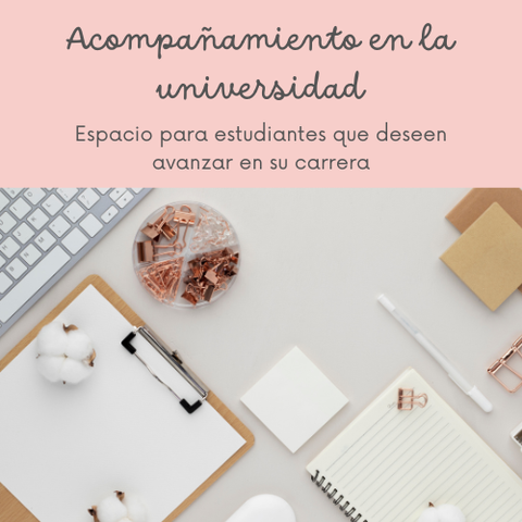 Acompañamiento en la Universidad