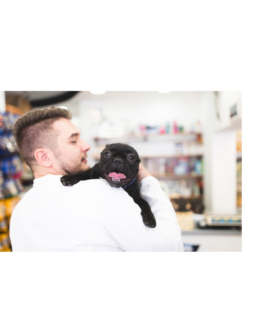 Juan - Estudiante de veterinaria