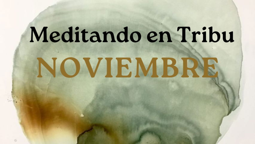 Meditando en Tribu Noviembre