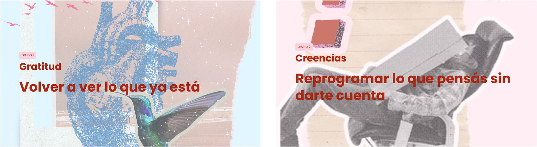 Diarios que transforman 1: Gratitud y Creencias