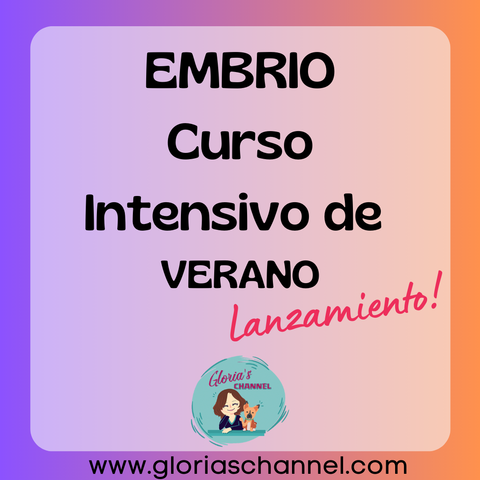 Intensivo de Verano Enero- Febrero 2026