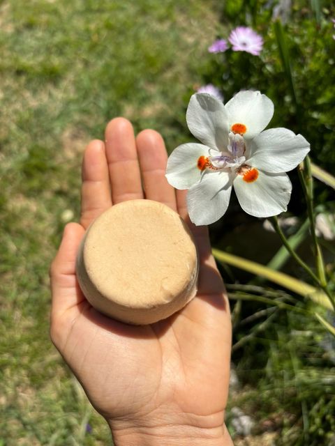 CHAMPÚ CABELLO NORMAL:REPARA Y NUTRE