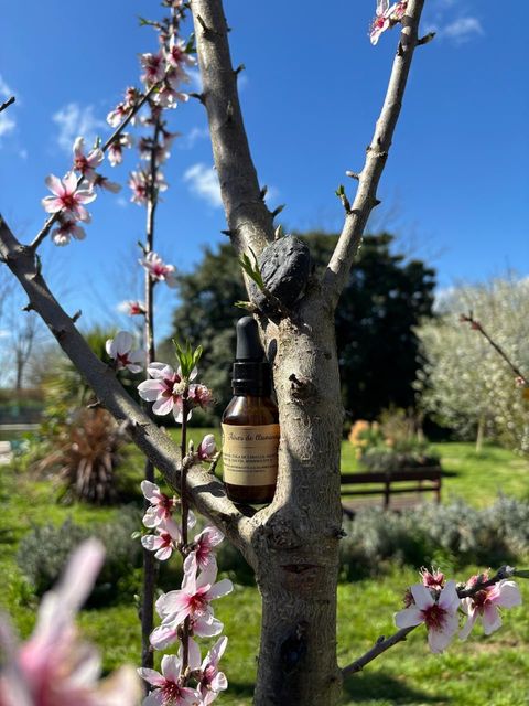 SERUM FACIAL OLEOSO NUTRITIVO, REFRESCANTE, PREVIENE ENVEJECIMIENTO, CALMA, EQULIBRA EL SEBO