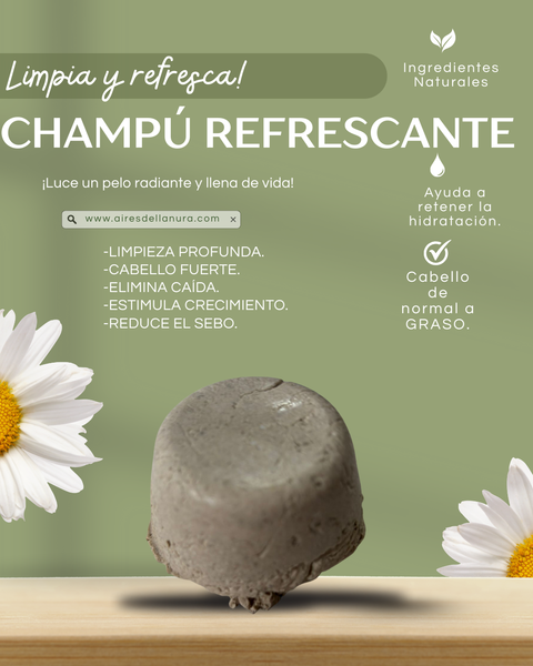CHAMPÚ CABELLO GRASO: LIMPIEZA Y NUTRICIÓN
