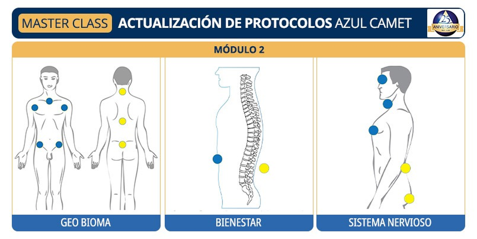 Actualización de Protocolos II