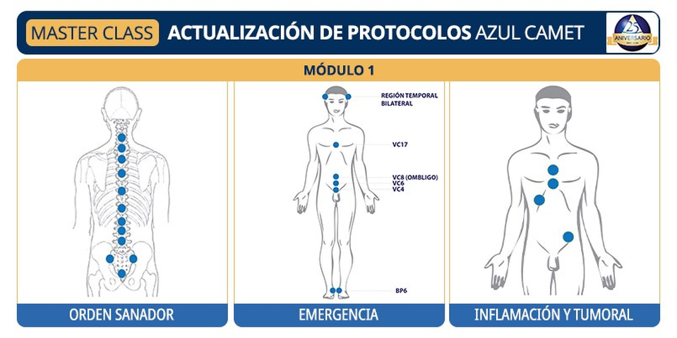 Actualización de Protocolos I