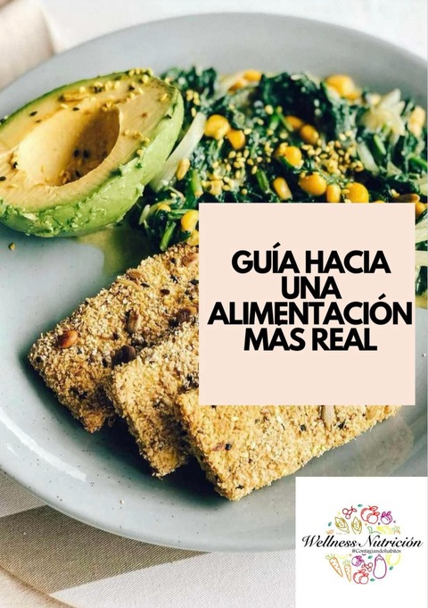 GUIA ALIMENTACIÓN REAL