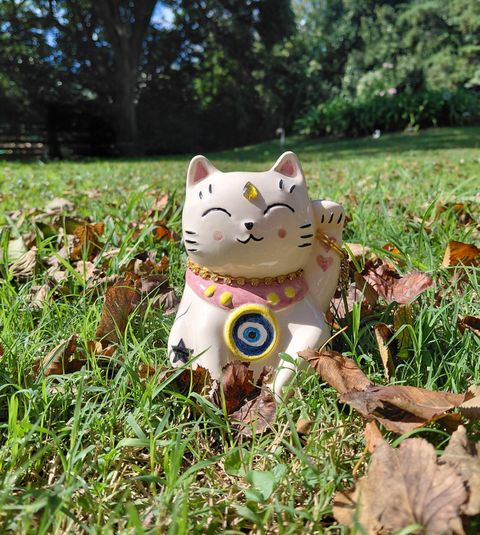 GATITOS 