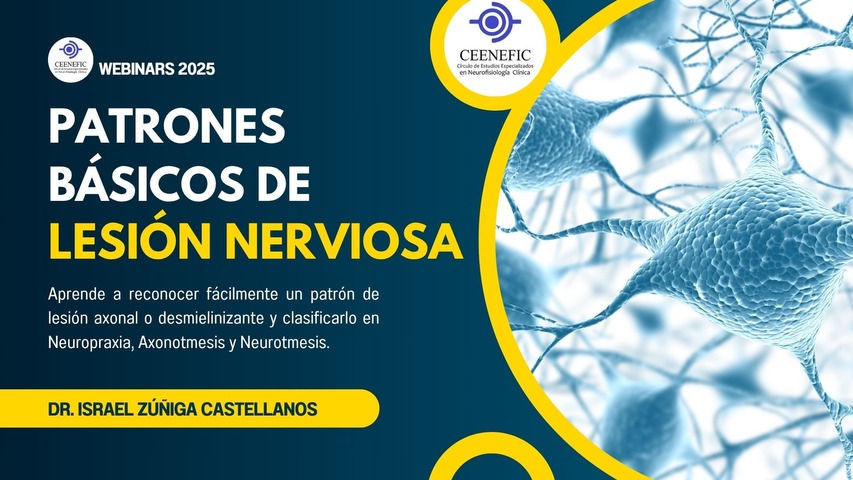 PATRONES BÁSICOS DE LESIÓN NERVIOSA
