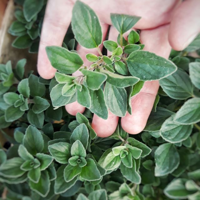 Conectarnos con la naturaleza!