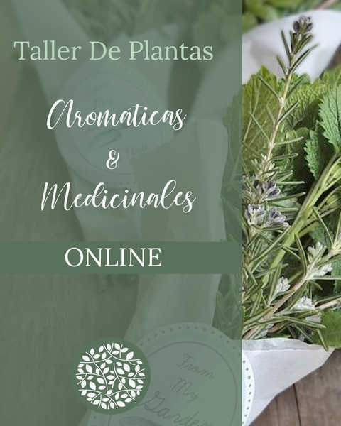 Taller de Plantas Aromaticas & Medicinales