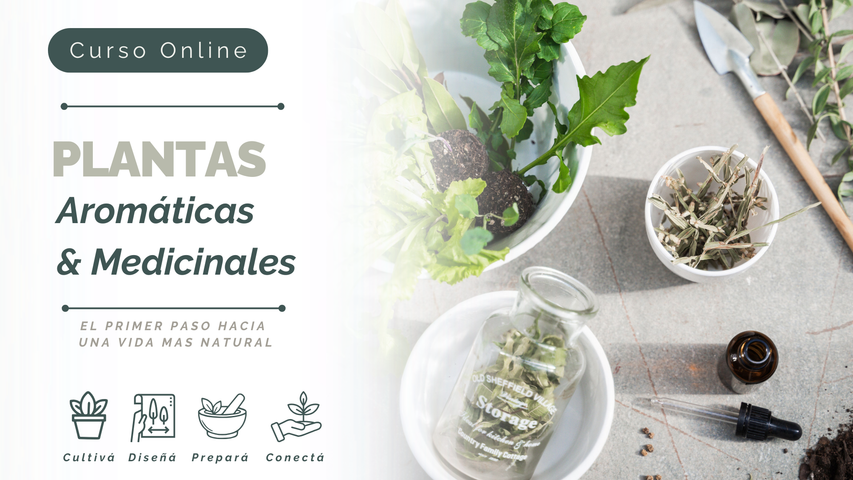  Plantas Aromaticas & Medicinales- El primer paso hacia una vida mas natural