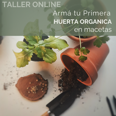 Taller de Huerta Orgánica - Armá tu primera huerta organica en macetas